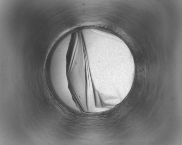 X0000074260628200609222152