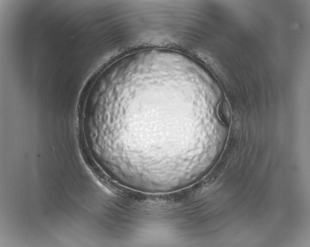 X0000074260630200609222152