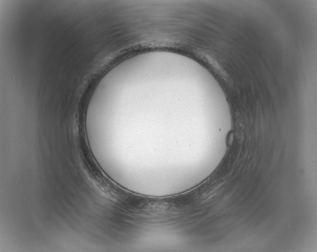 X0000074260631200609222152