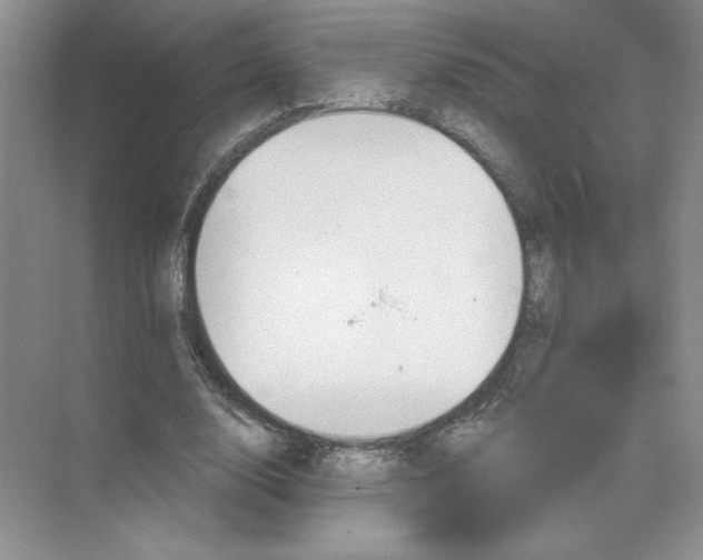 X0000074260632200609222152