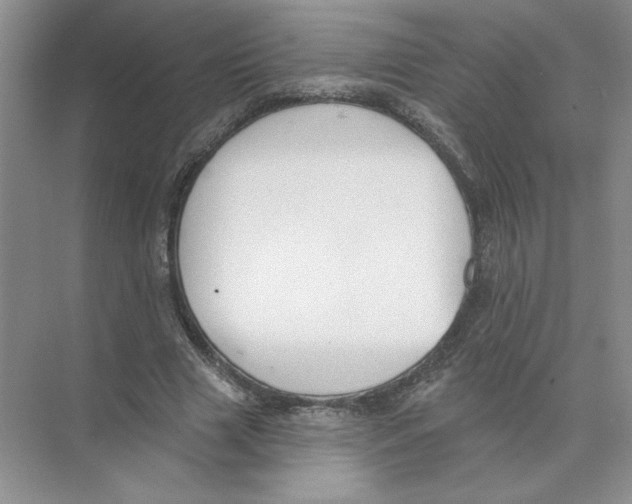 X0000074260633200609222152