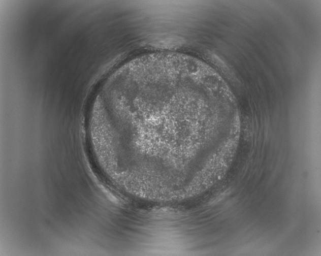 X0000074260634200609222152