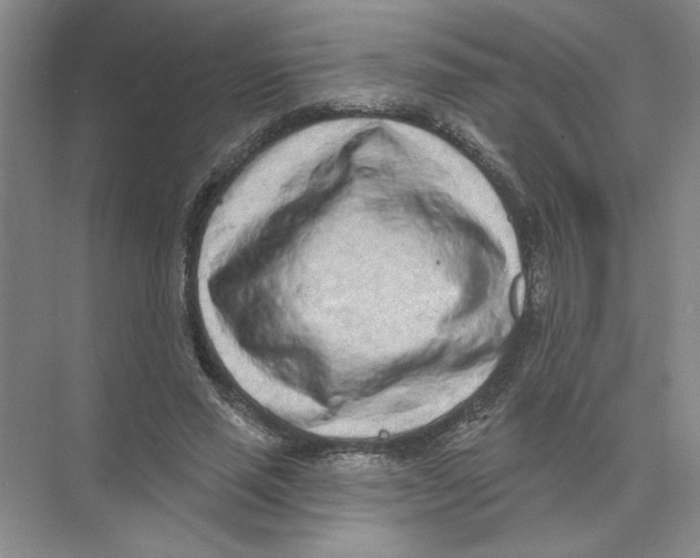 X0000074260637200609222152