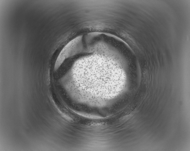 X0000074260638200609222152