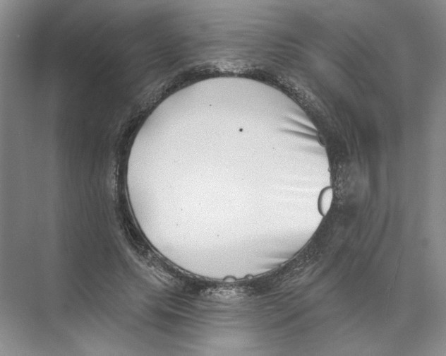 X0000074260639200609222152