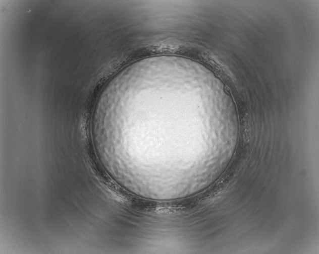 X0000074260641200609222152