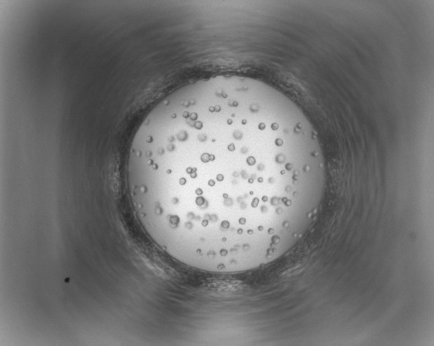 X0000074260642200609222152