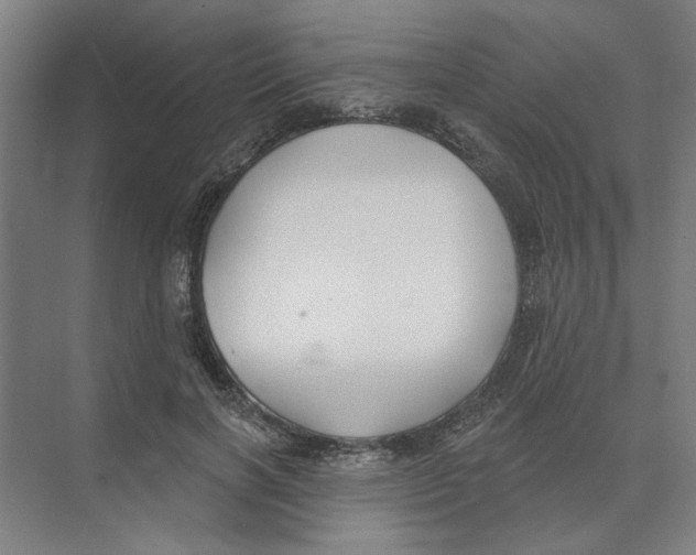 X0000074260646200609222152