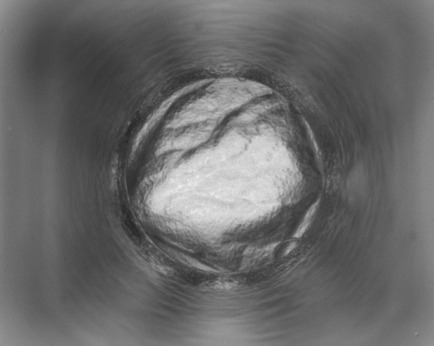 X0000074260647200609222152