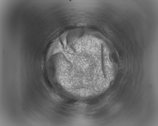 X0000074260648200609222152