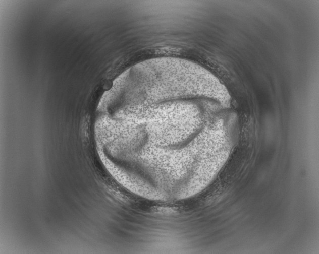 X0000074260649200609222152