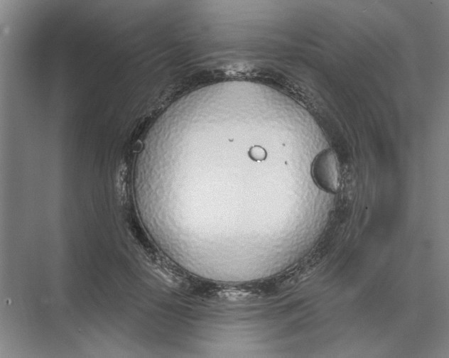 X0000074260650200609222152