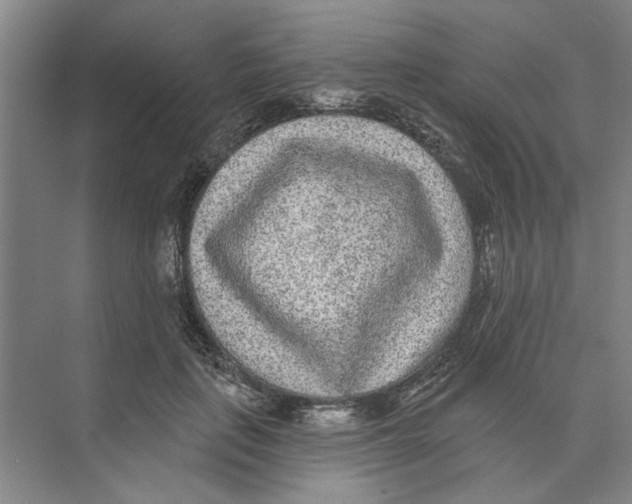 X0000074260651200609222152