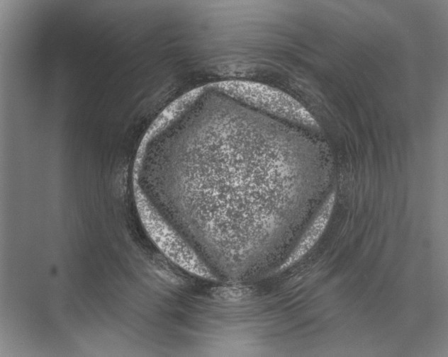 X0000074260652200609222152