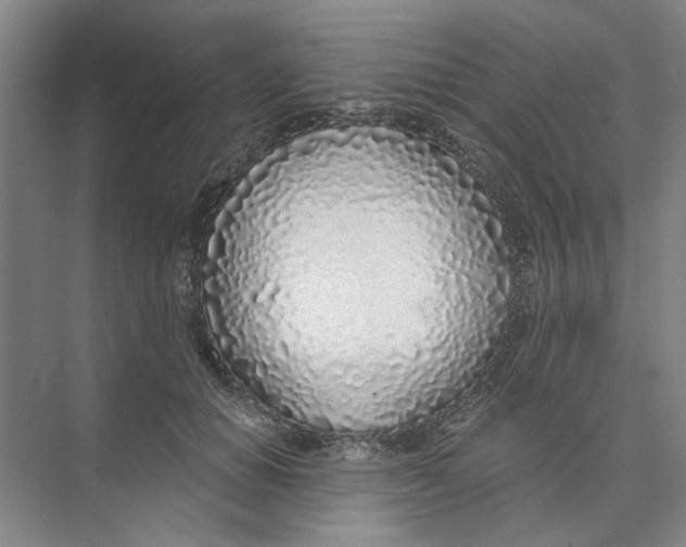 X0000074260654200609222152