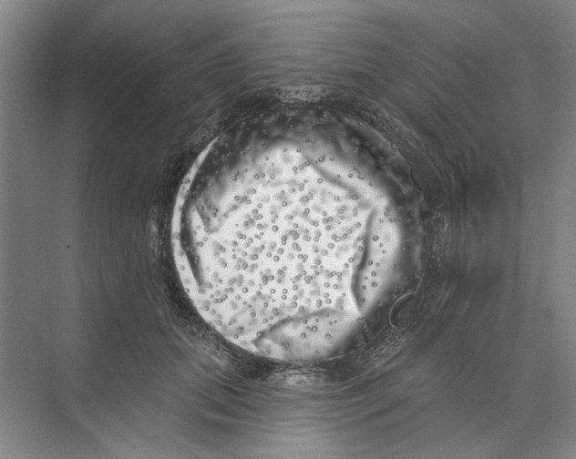 X0000074260655200609222152