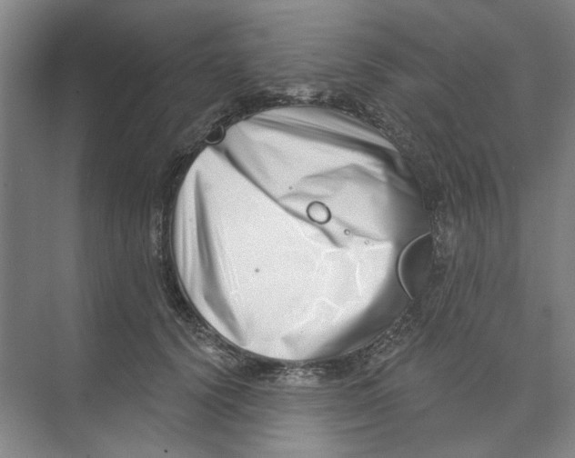 X0000074260656200609222152