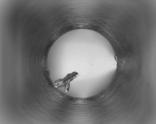 X0000074260657200609222152