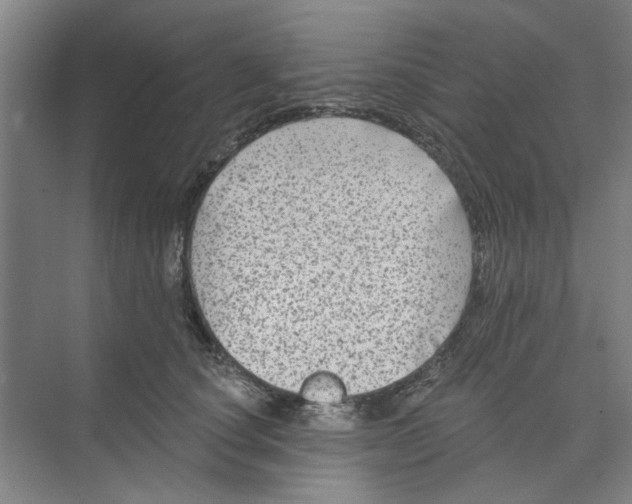 X0000074260660200609222152