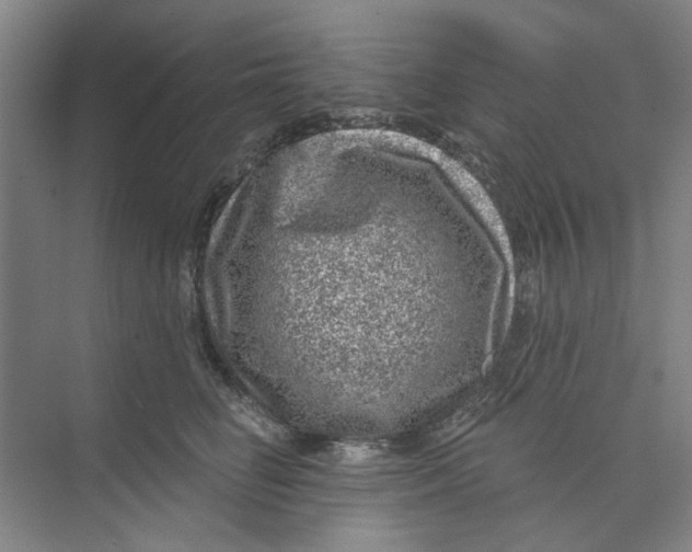 X0000074260662200609222152