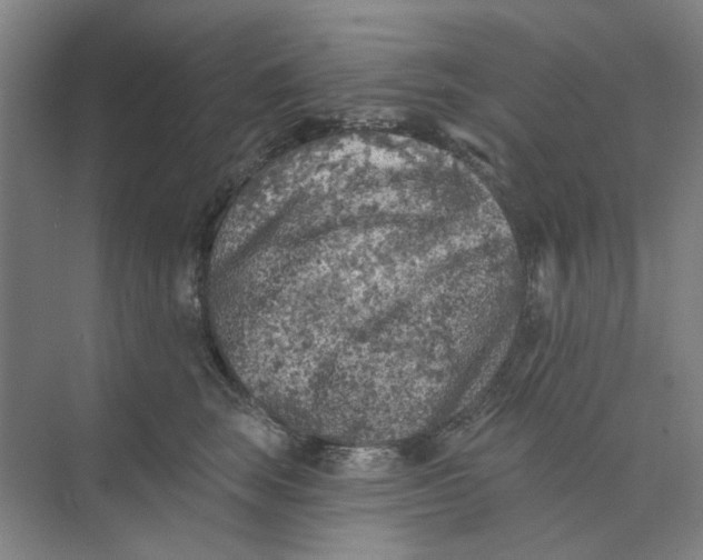 X0000074260663200609222152