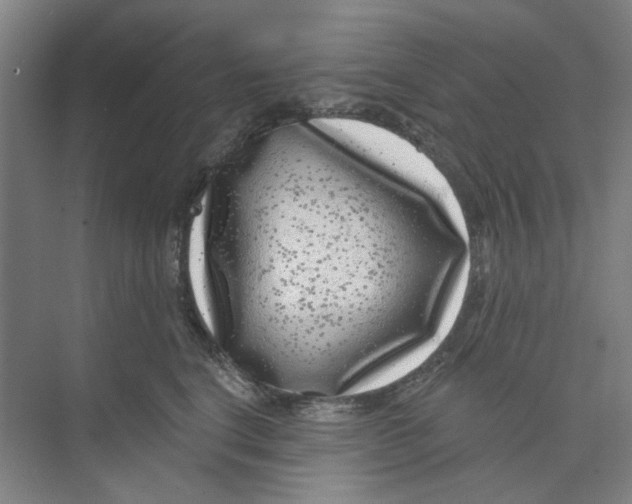 X0000074260664200609222152