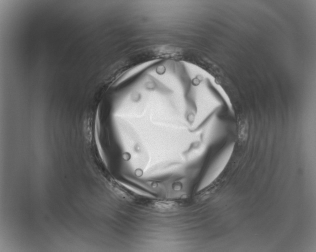 X0000074260666200609222152