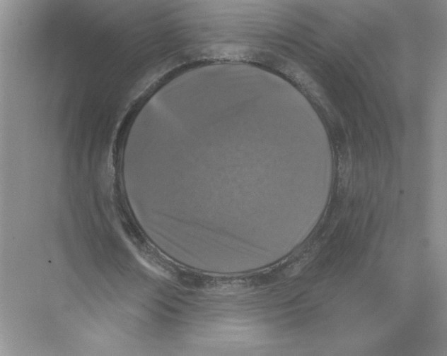 X0000074260674200609222151