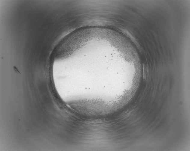 X0000074260675200609222151