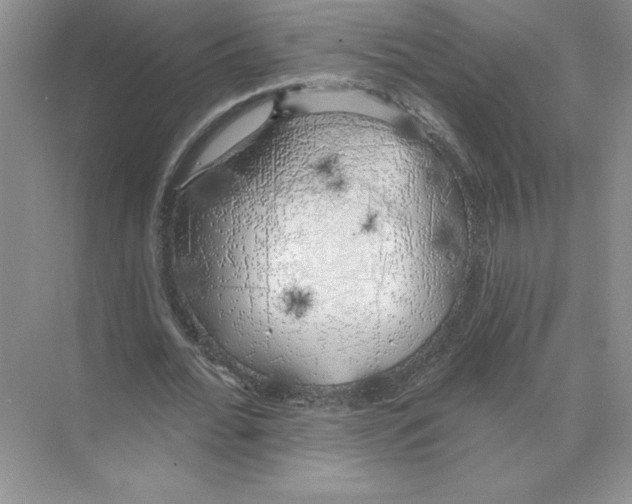 X0000074260676200609222151