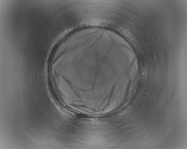 X0000074260678200609222151