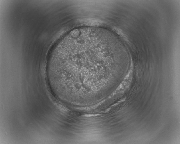 X0000074260679200609222151