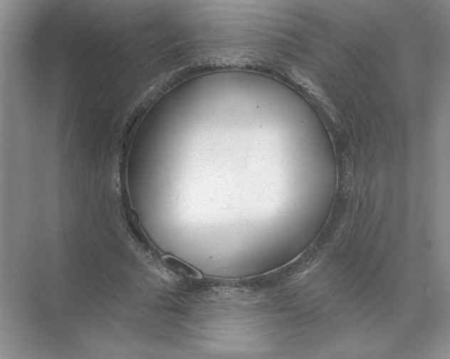 X0000074260681200609222151