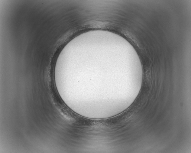 X0000074260682200609222151