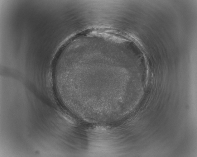 X0000074260684200609222151