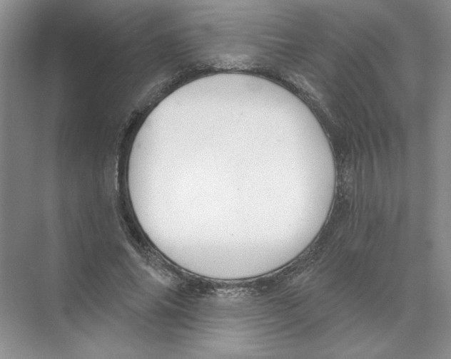 X0000074260686200609222151