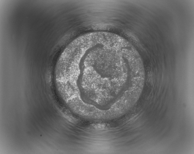 X0000074260687200609222151