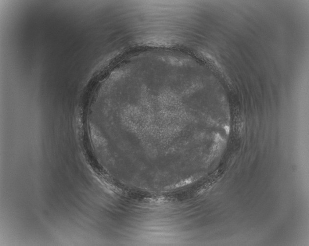 X0000074260688200609222151