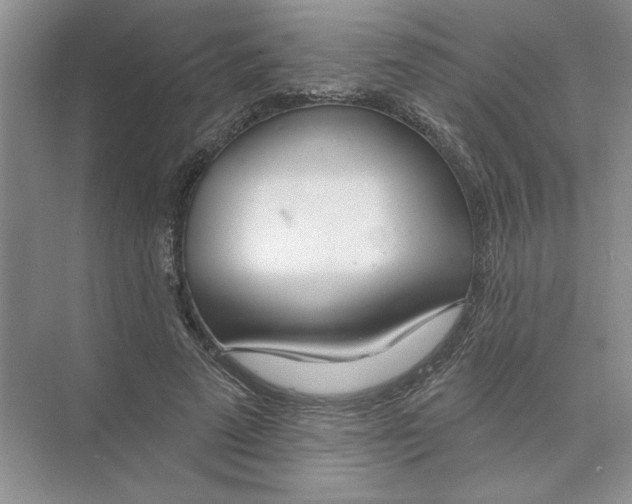 X0000074260689200609222151