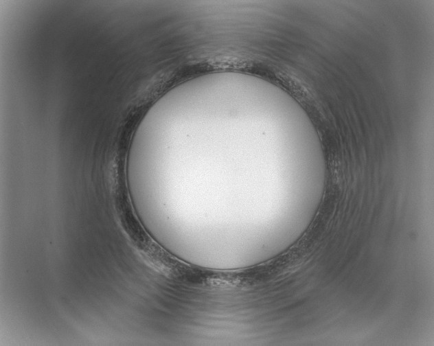 X0000074260690200609222151