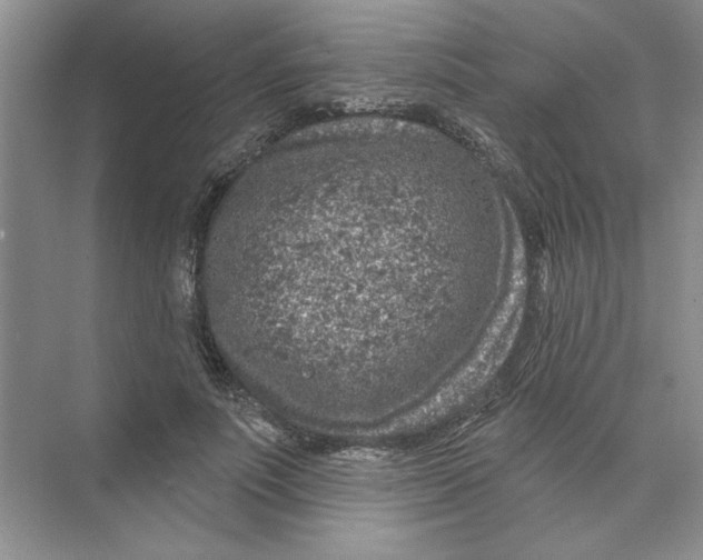 X0000074260691200609222151