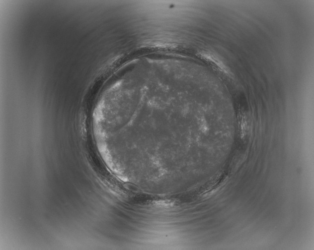 X0000074260692200609222151