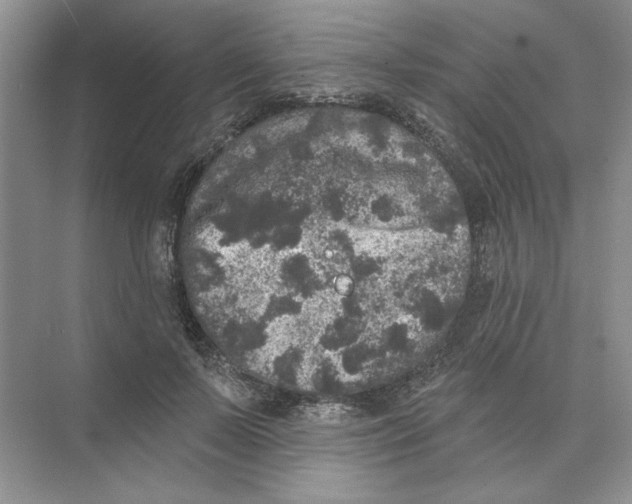 X0000074260695200609222151