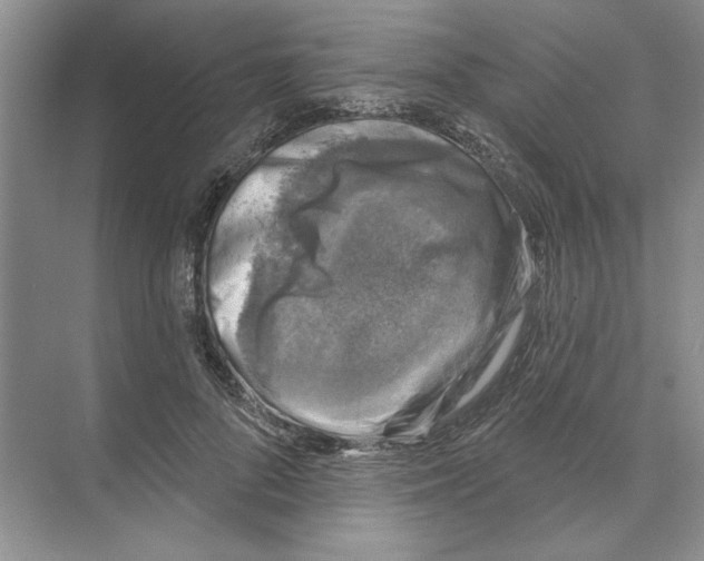 X0000074260696200609222151