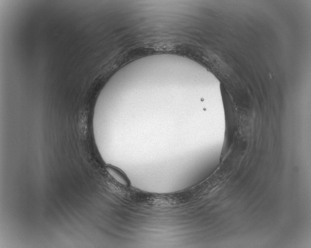 X0000074260697200609222151