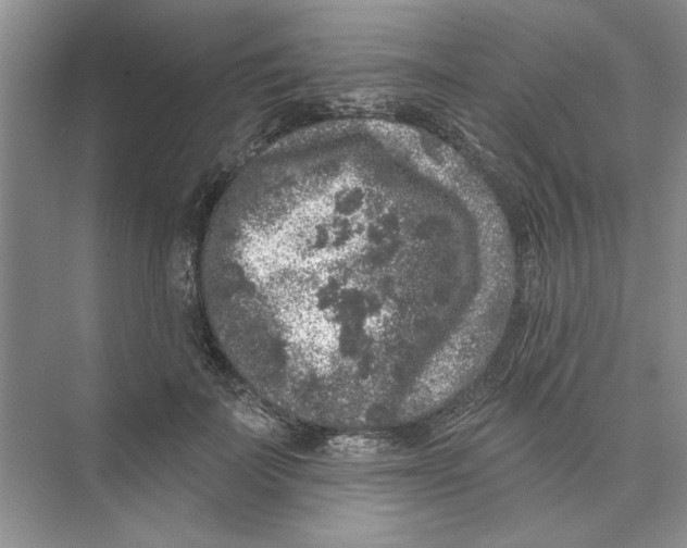 X0000074260699200609222151