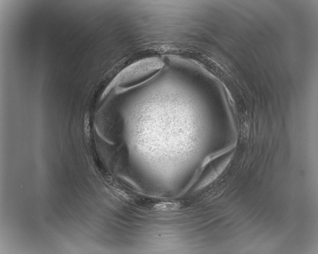 X0000074260700200609222151