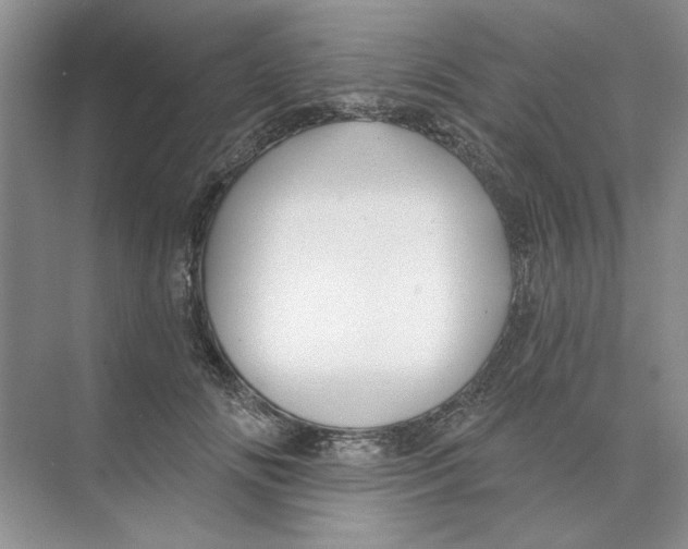 X0000074260702200609222151