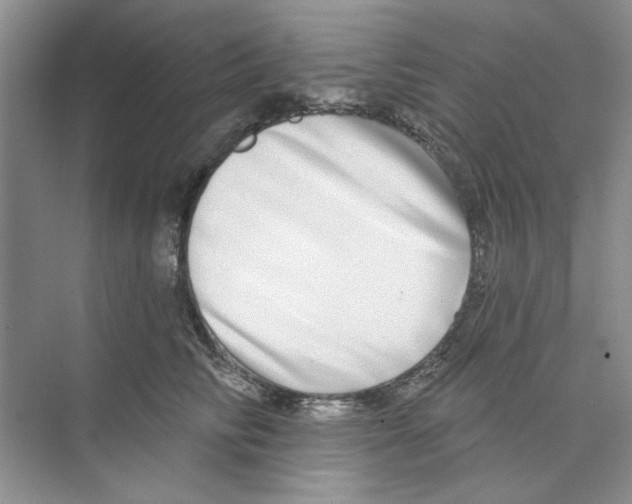 X0000074260710200609222151