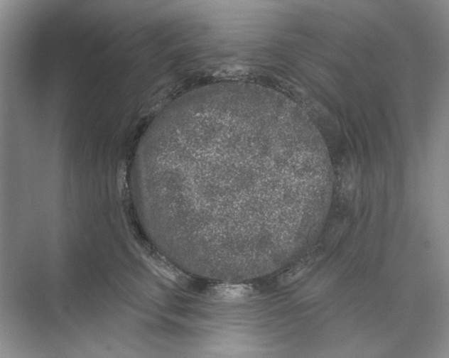 X0000074260711200609222151